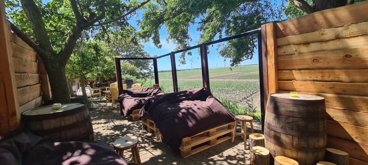 Pure Passie Bed And Breakfast Willemstad  Extérieur photo